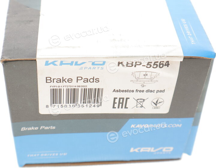 Kavo KBP-5564
