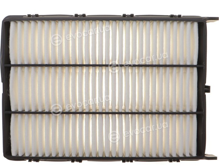 Solgy 103172