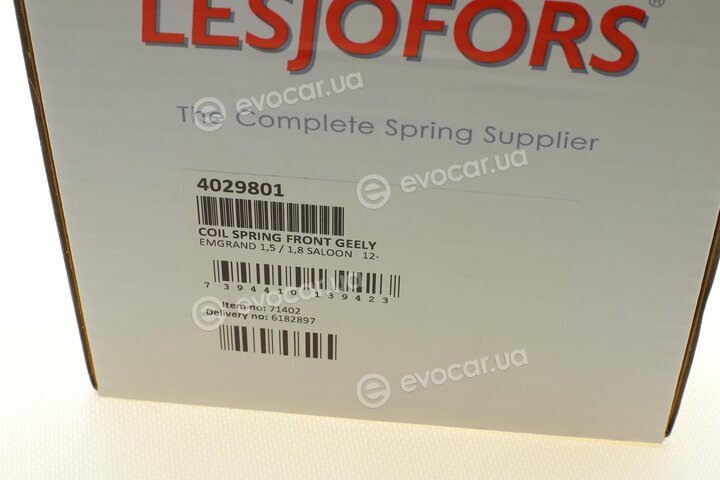 Lesjofors 4029801