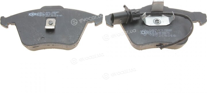 Icer 181531