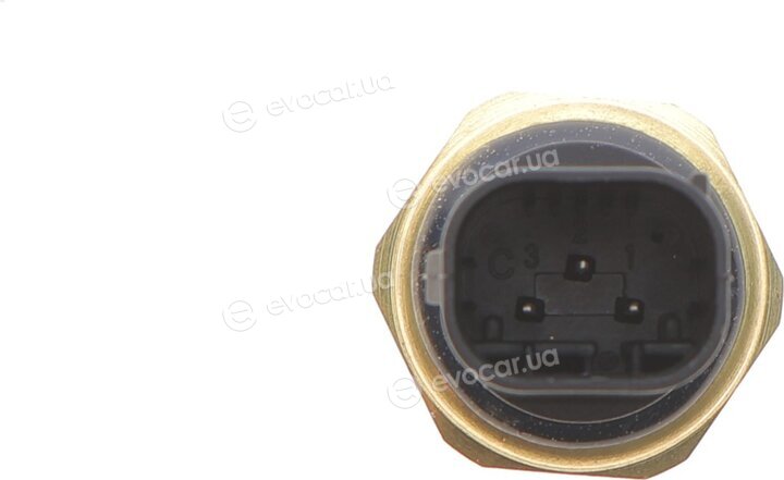 AIC 75555