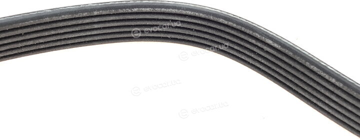 Dayco 6PK1550