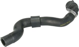 Thermotec DWW538TT
