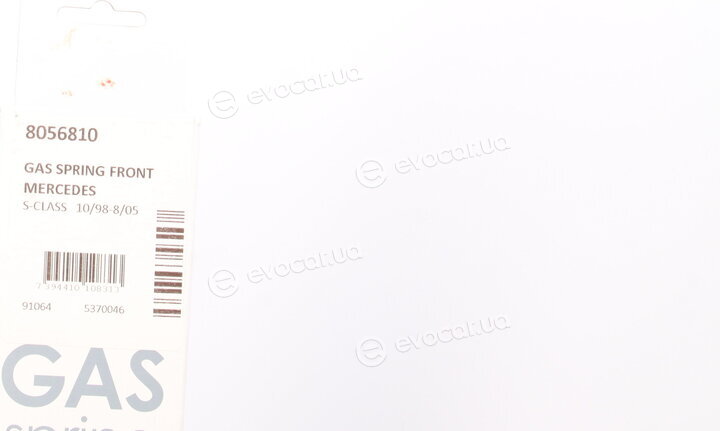 Lesjofors 8056810