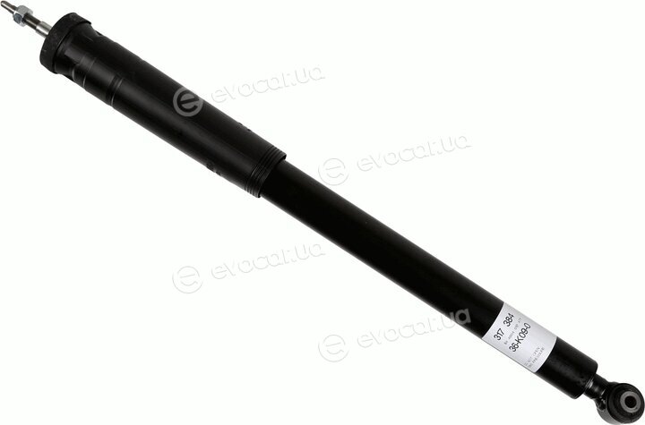 Sachs 317 384