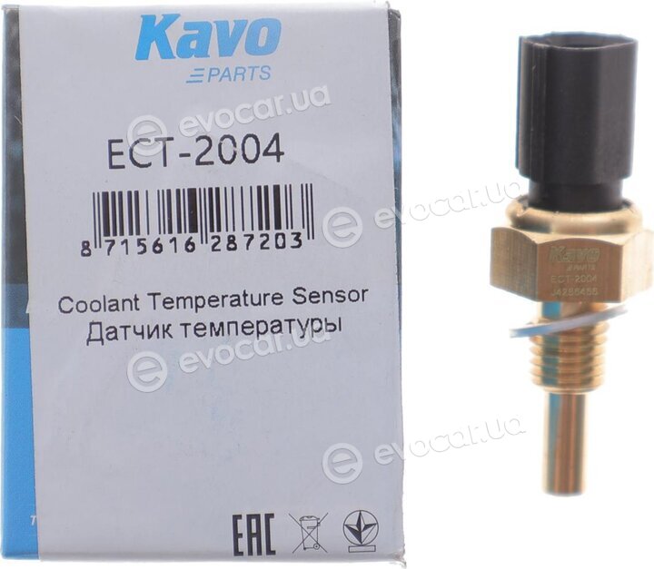 Kavo ECT-2004