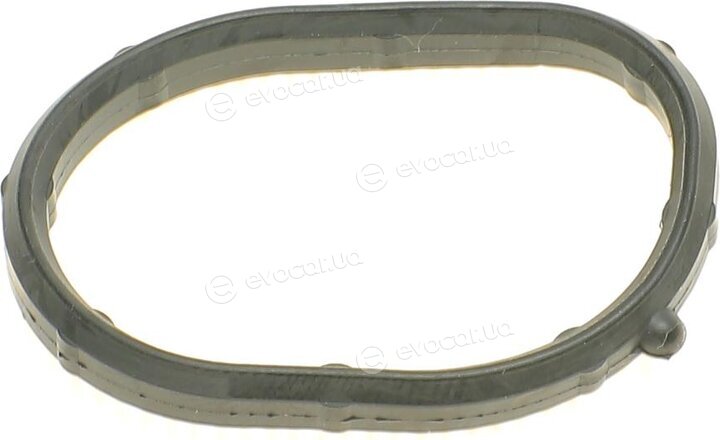 Elring 855.060