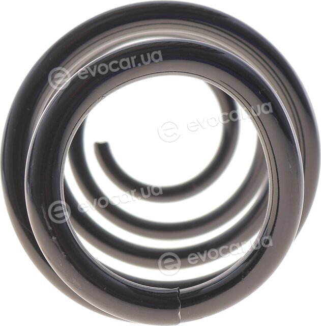 Solgy 212178