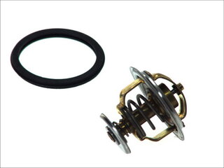 Wahler / BorgWarner 4038.81D
