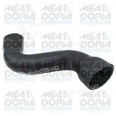 Meat & Doria 96354