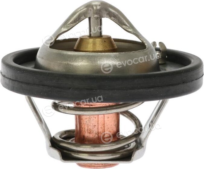 Starline TS T117.82T