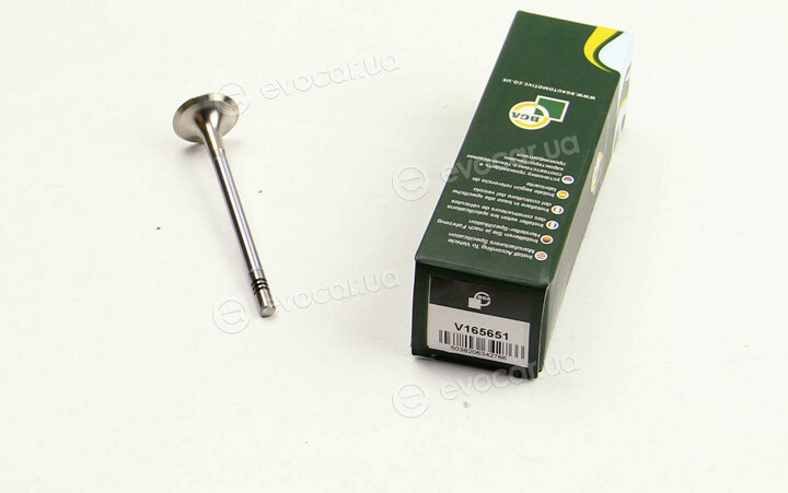 BGA V165651