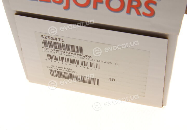 Lesjofors 4255471