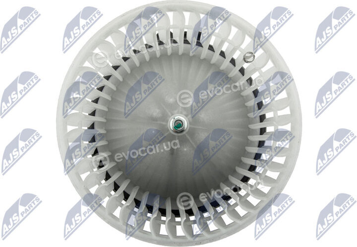 NTY EWN-NS-002
