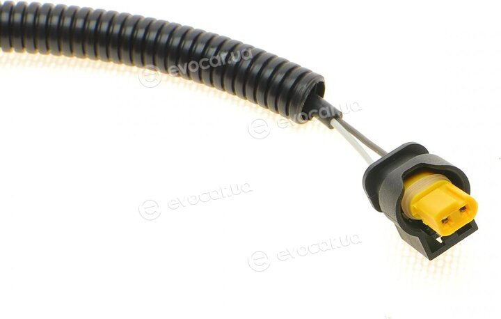 Solgy 115025