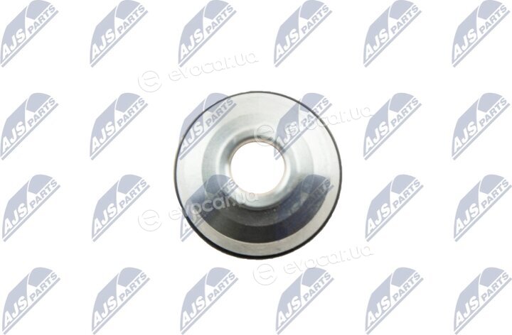NTY BWP-PL-000