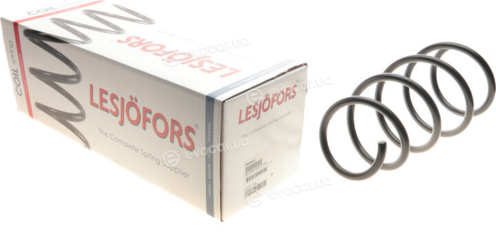 Lesjofors 4092616
