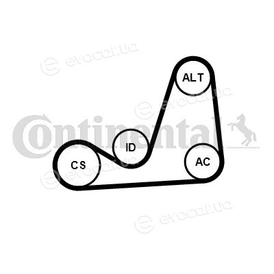 Continental 6PK1075K1