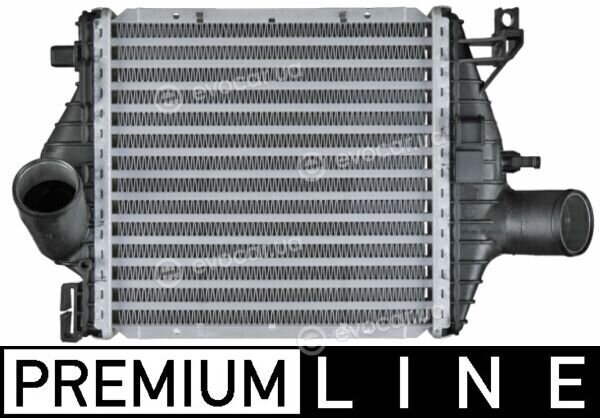 Mahle CI 106 000P