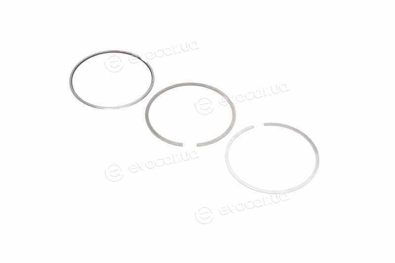 Mahle 030 31 N1
