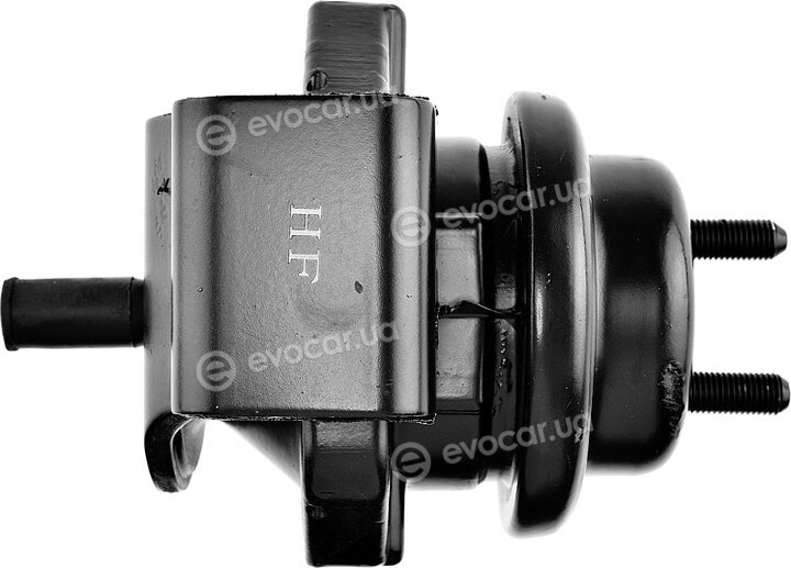 NTY ZPS-NS-150