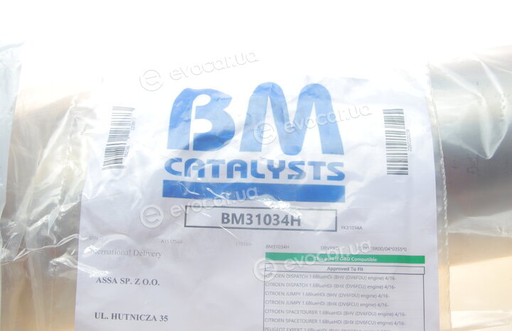 BM Catalysts BM31034H