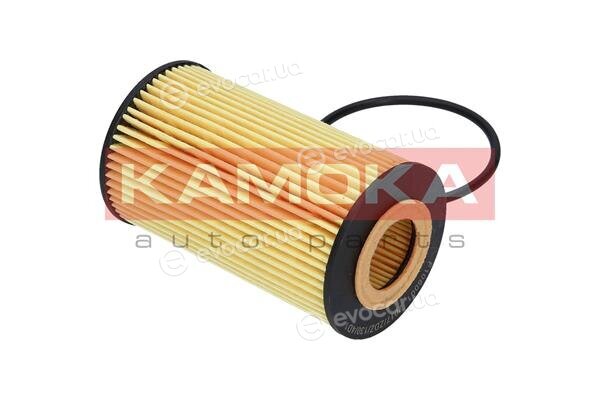 Kamoka F106001