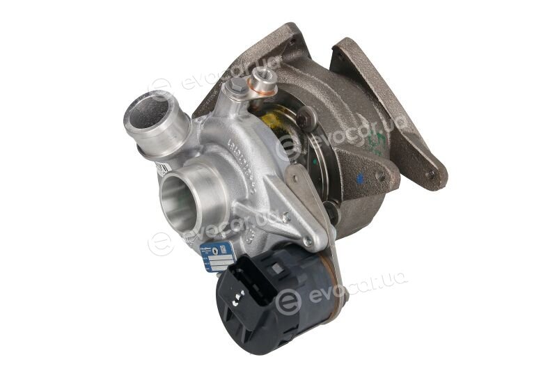 BorgWarner 54399880110