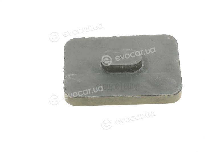 Autotechteile 100 3196