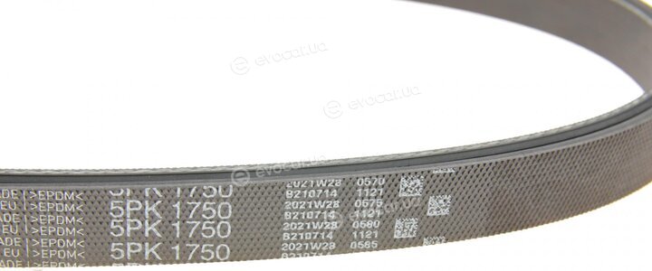 Gates K015PK1750