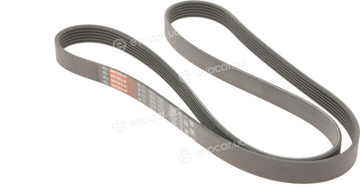 Gates 6PK1555