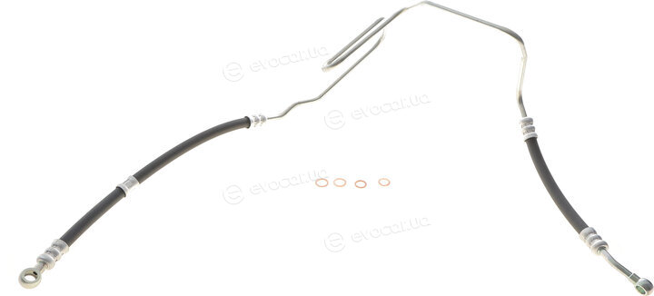 AIC 54994