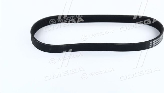 Continental 6PK691 ELAST