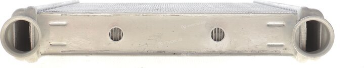 NRF 54381