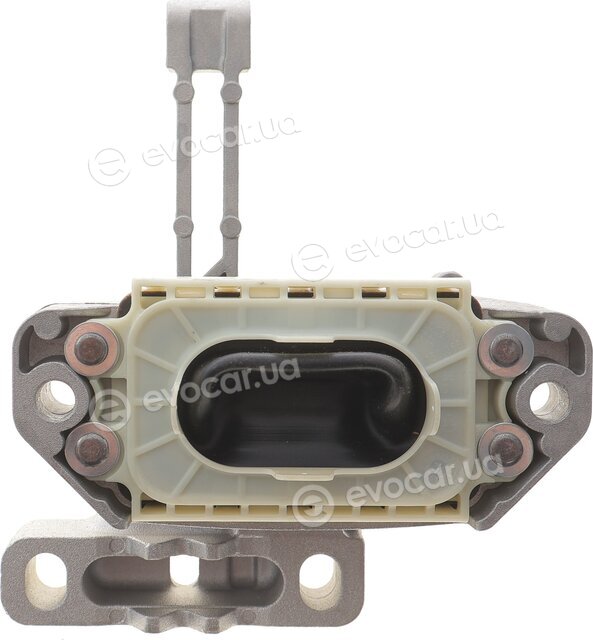 OE Germany 800794