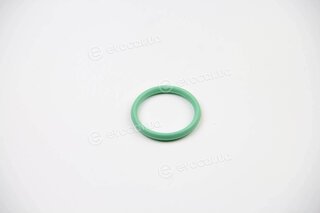 BGA NW6365