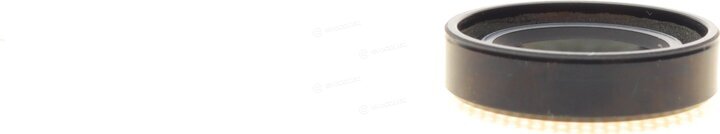 Elring 007.544
