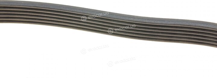 Dayco 6PK1588