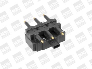 Beru ZS456