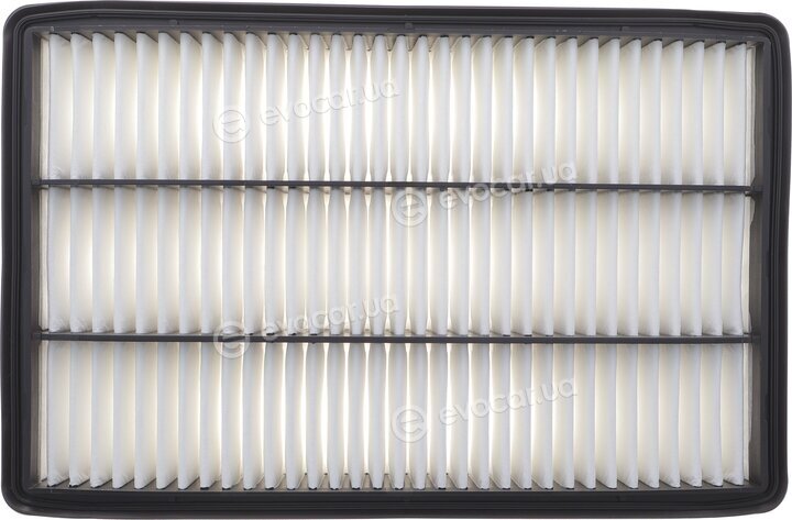 Solgy 104112