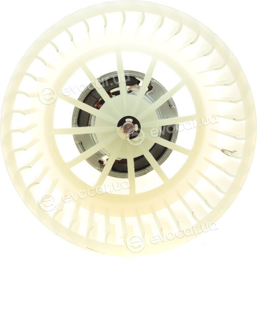 AIC 50615