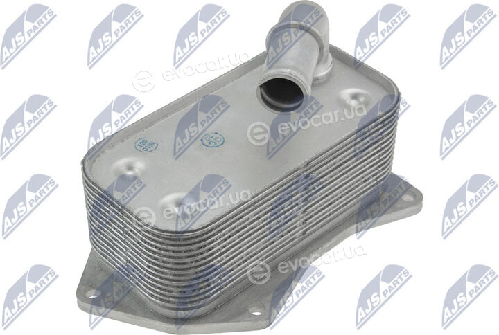 NTY CCL-PL-021