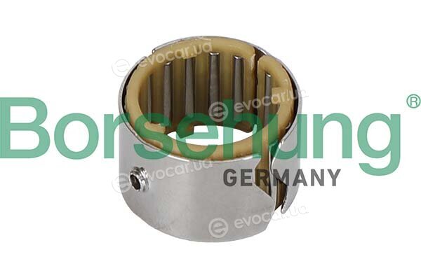 Borsehung B12675