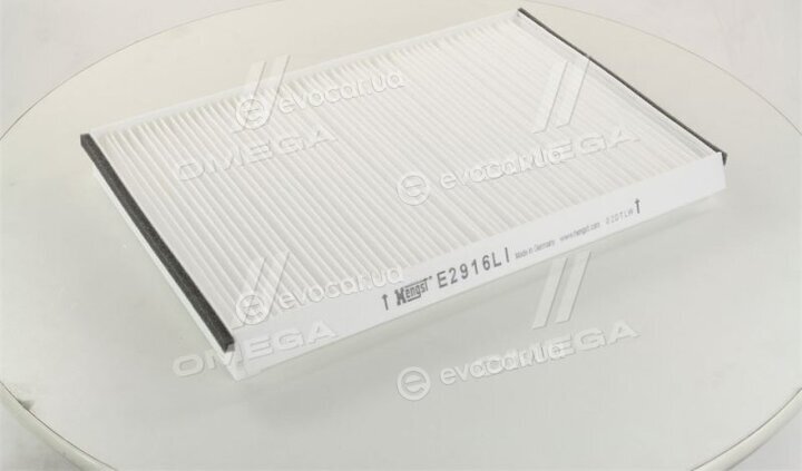 Hengst E2916LI