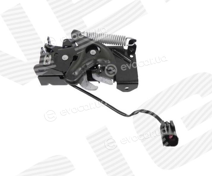 Signeda PBM22035OL