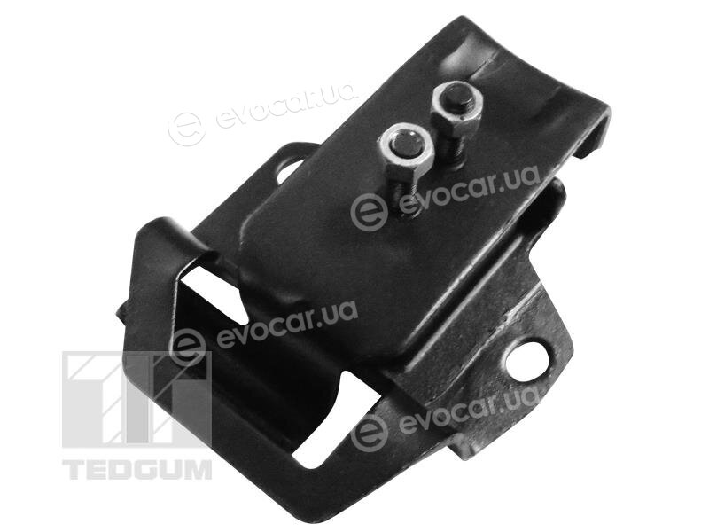 Tedgum 00300649