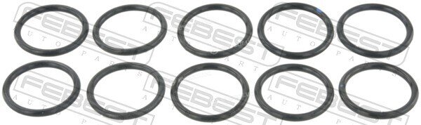 Febest RINGOL-017-PCS10