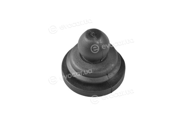 Tedgum TED46674
