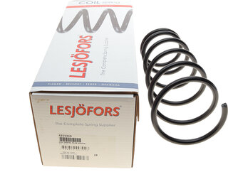 Lesjofors 4255410