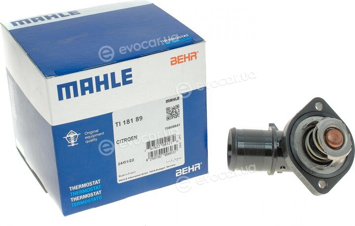 Mahle TI 181 89